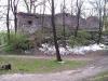 Собака біля залишків мурів на Високому замку