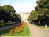 Площа Петрушевича