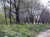Парк на спорткомплексі Спартак