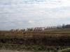 Село Малехів